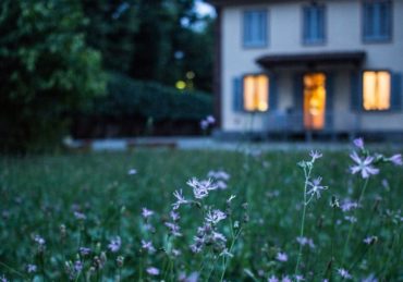 house and a field