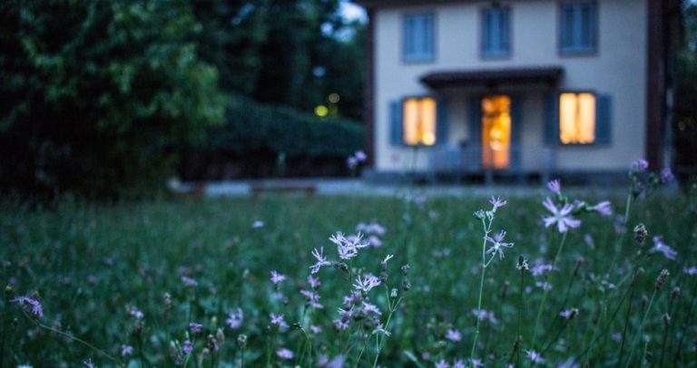 house and a field