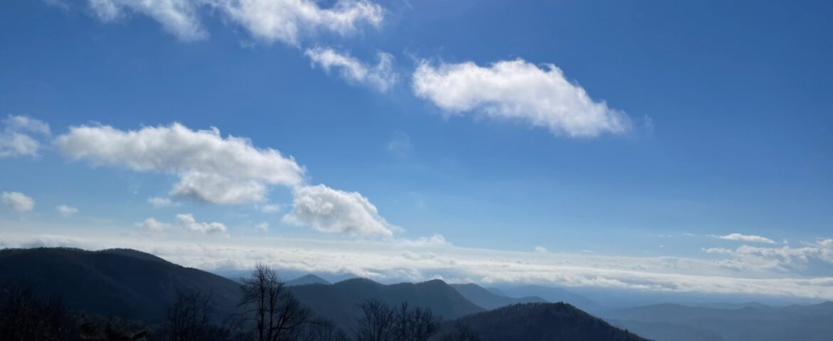 mnt sassafrass mnt sassafrass