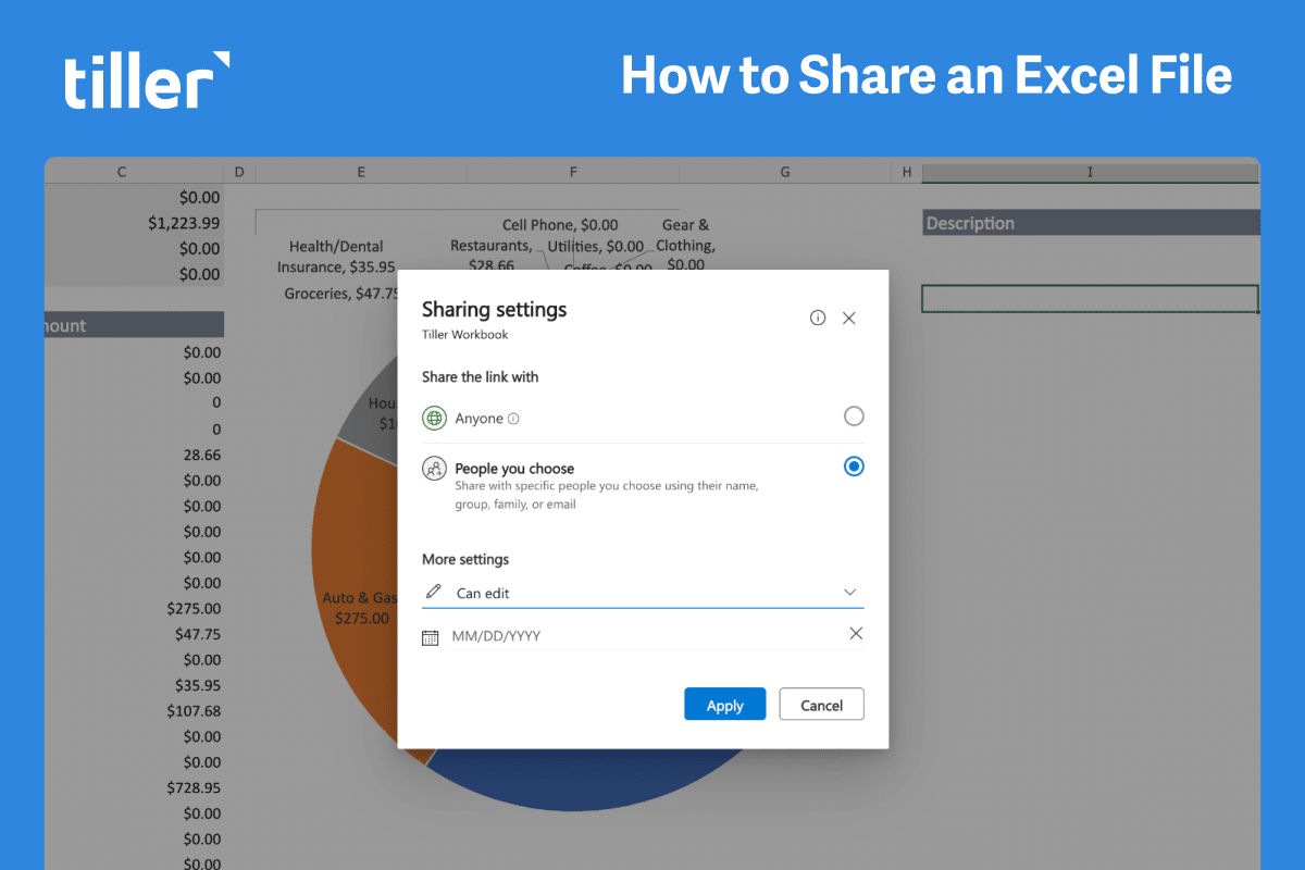 How to Share an Excel File