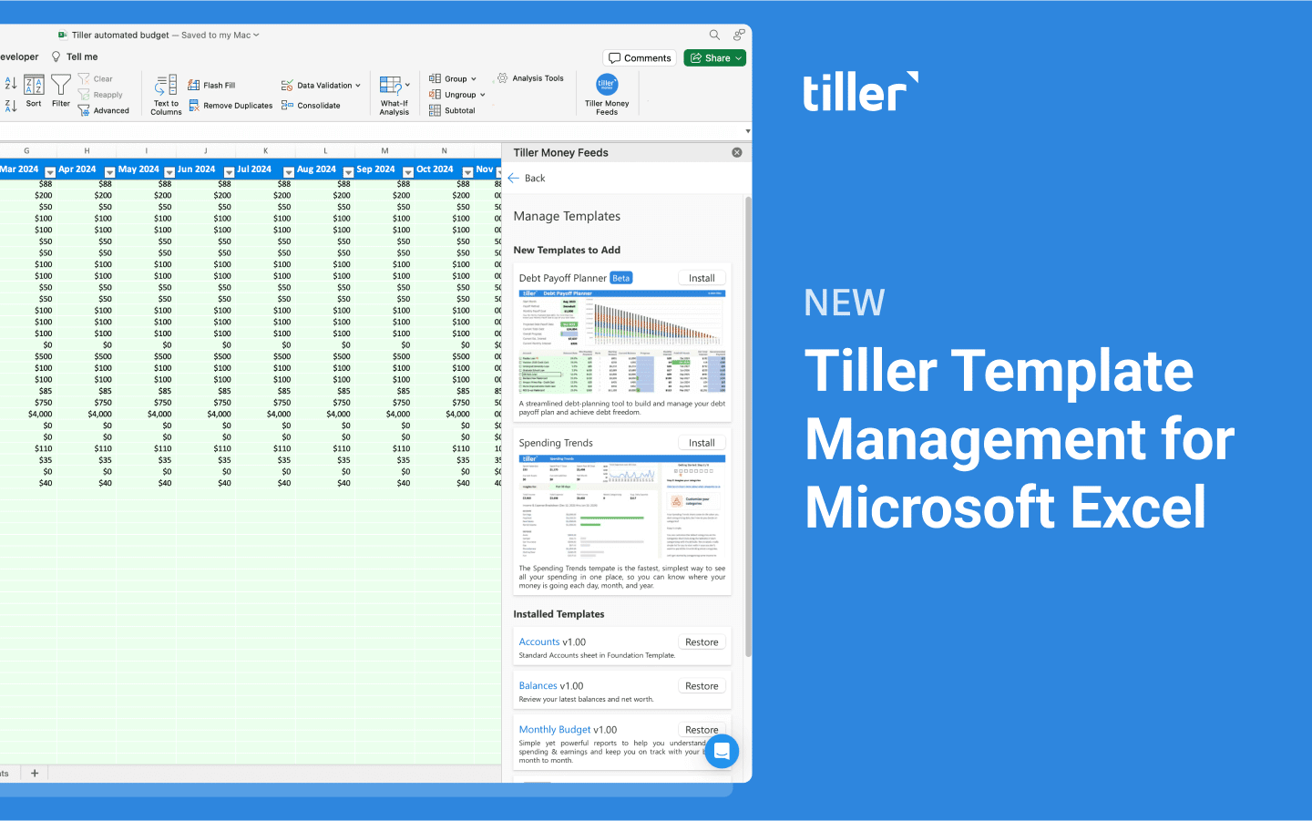 Tiller Template Management for Microsoft Excel